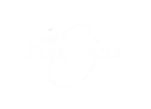 sirtsupuhastus removebg preview (1)